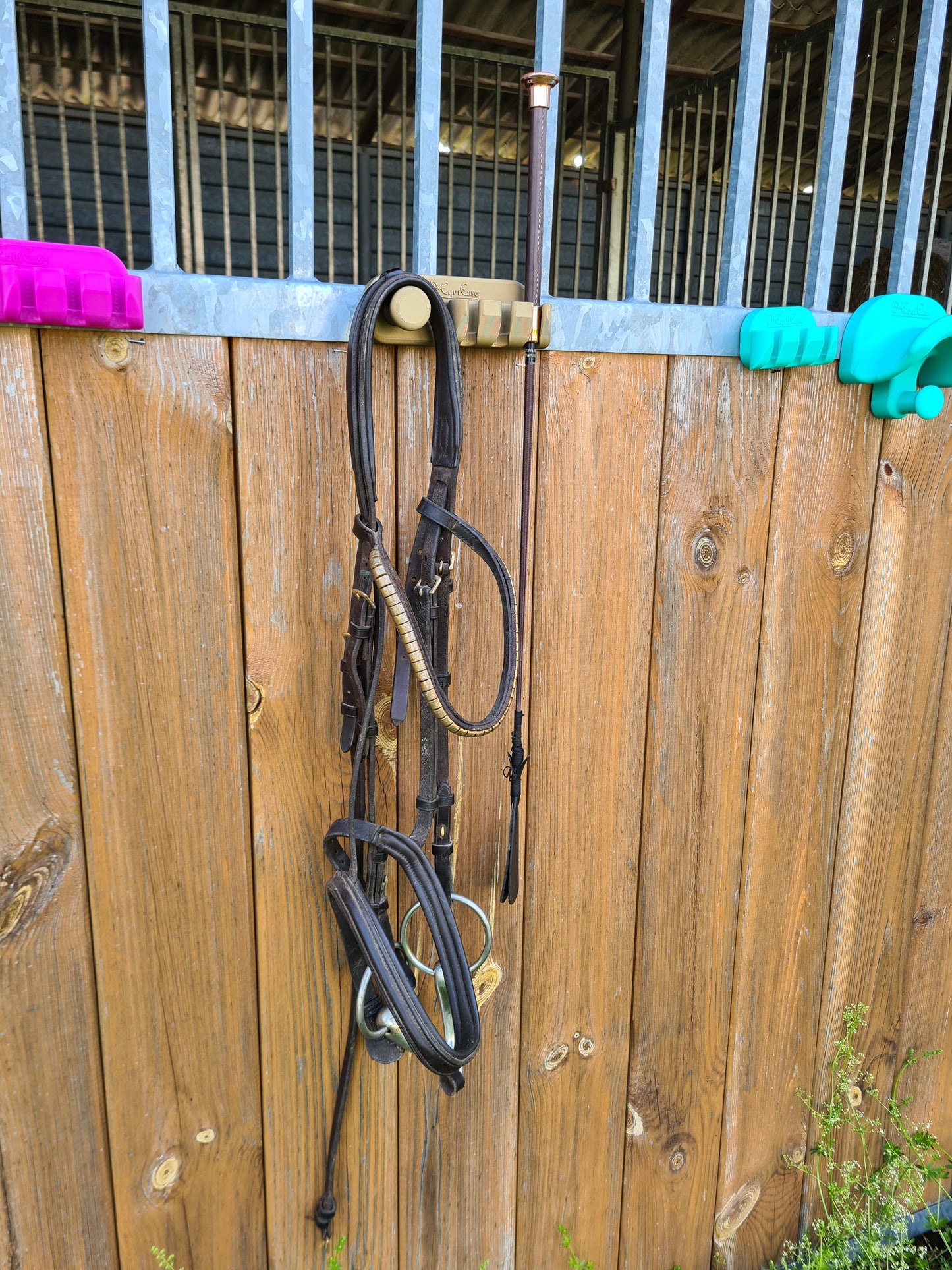WhipEase 3+hook