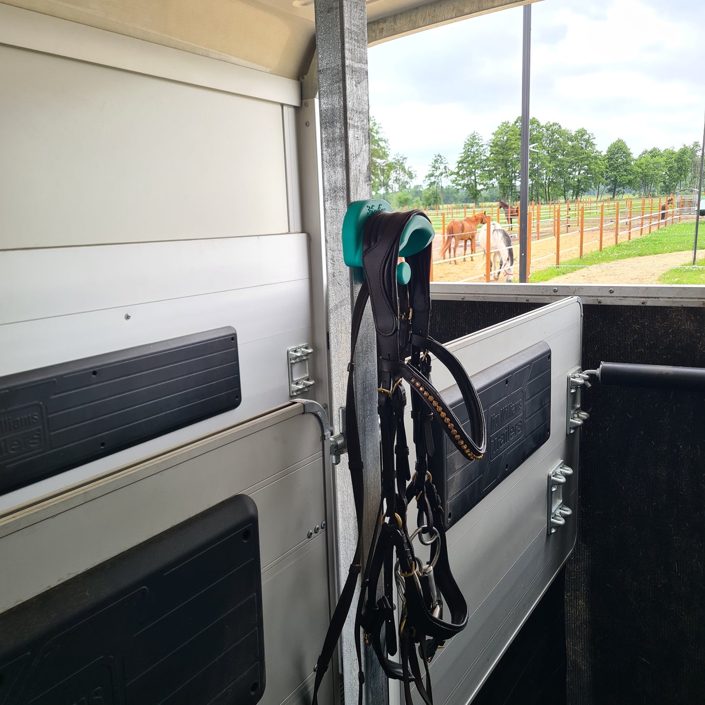 ProEase Personalizowany